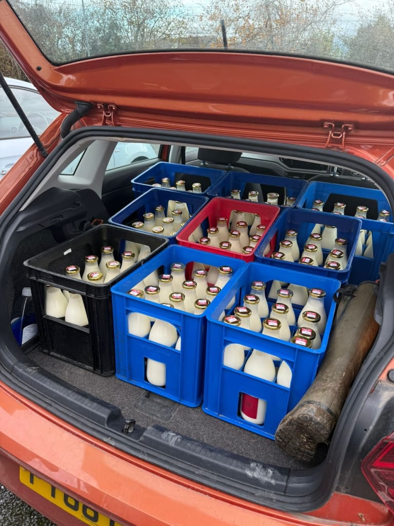 Milk crates in the back of a car from organic dairy farm