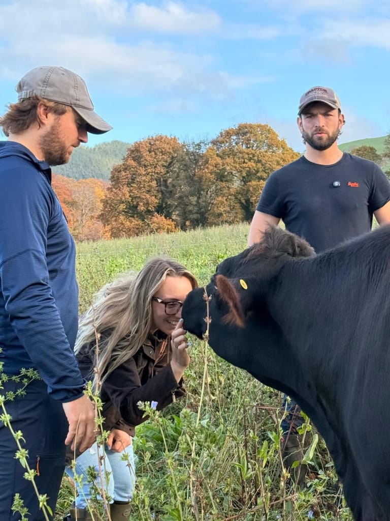 Three people greet a cow in a field