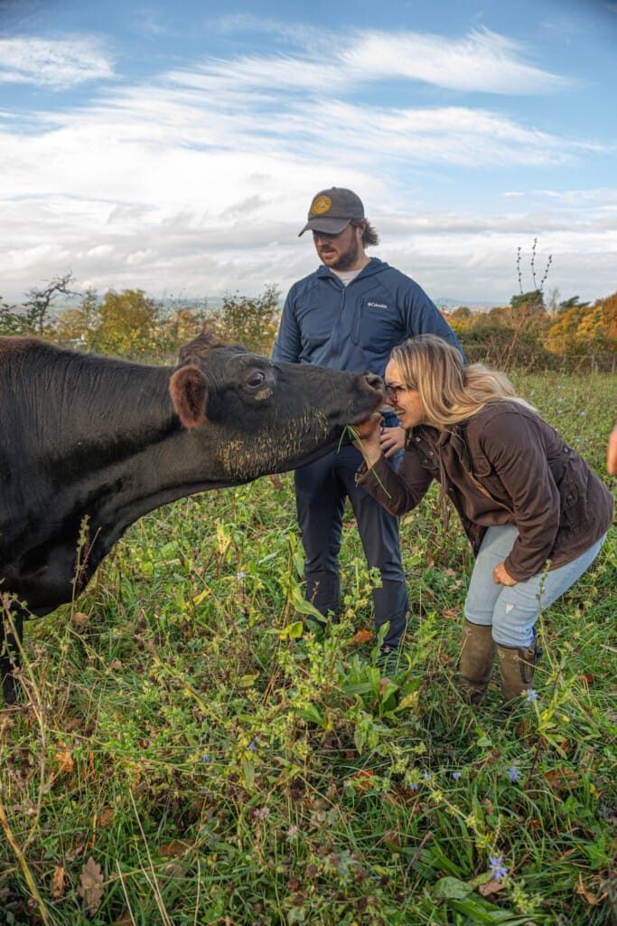 Two people greet organic farm dairy cow in a grassy field.