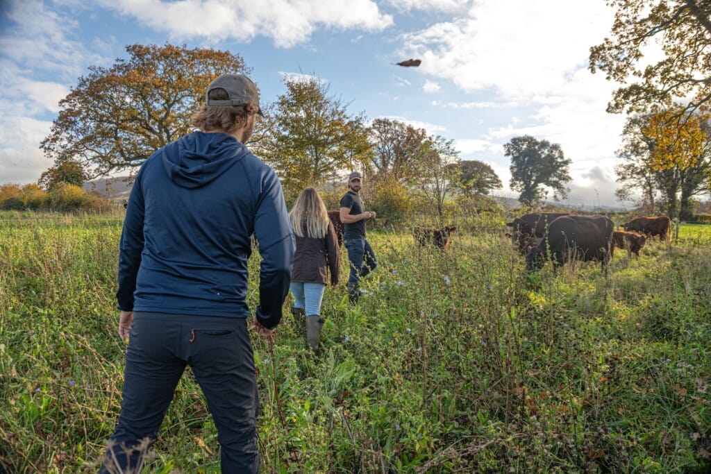 Three people walk through a farm field in the sun, cows in the background.