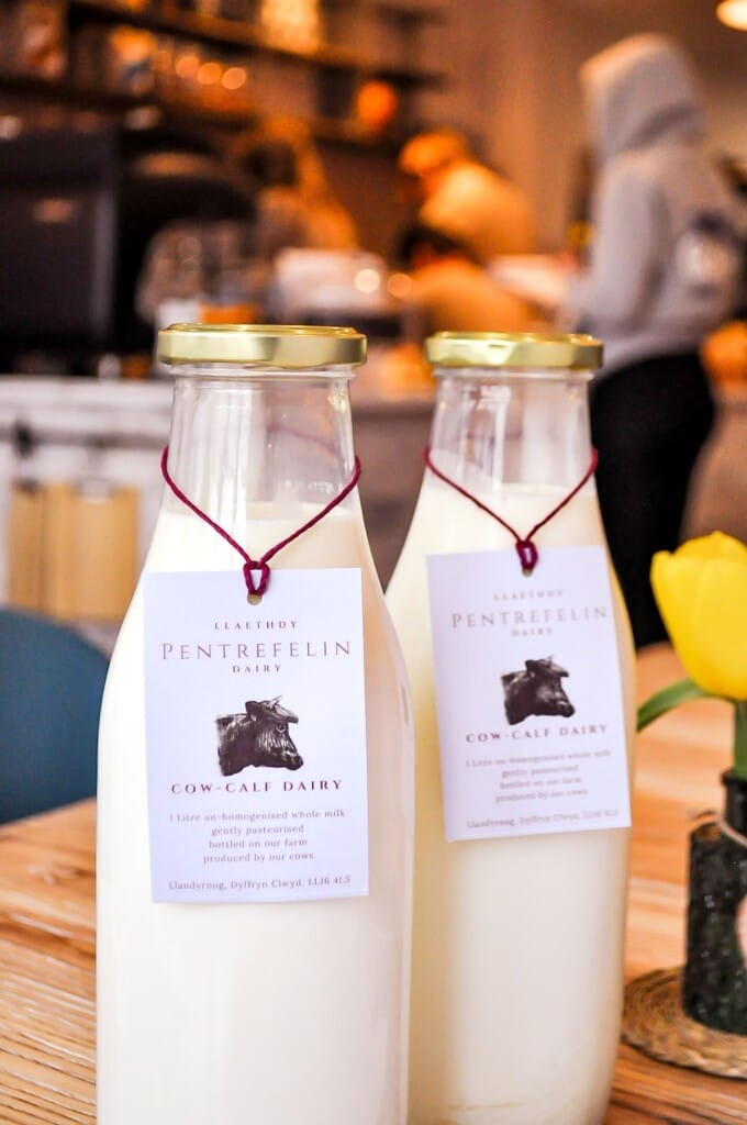 Two glass milk bottles with paper labels from the organic dairy milk farm.