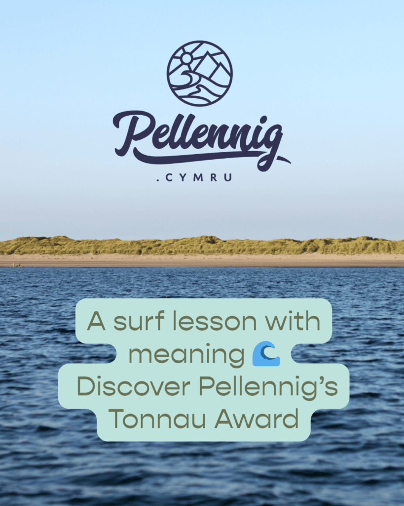 Pellenig promotional image