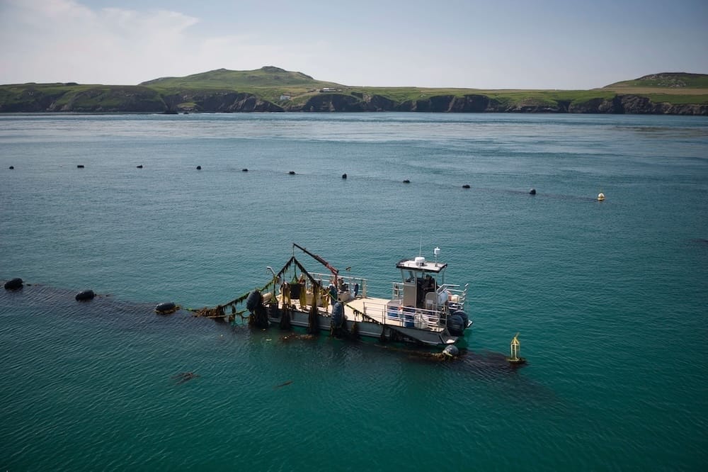 A small workboat is moored in calm blue water near a partially submerged structure, with green hills visible in the distance under a clear sky.