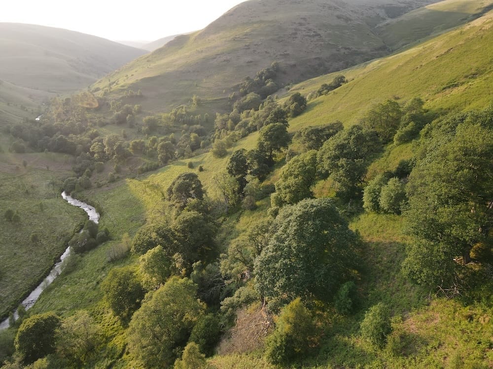 A small river winds through a green, hilly landscape with scattered trees and sunlight highlighting the slopes, perfectly capturing the spirit of rewilding Wales.